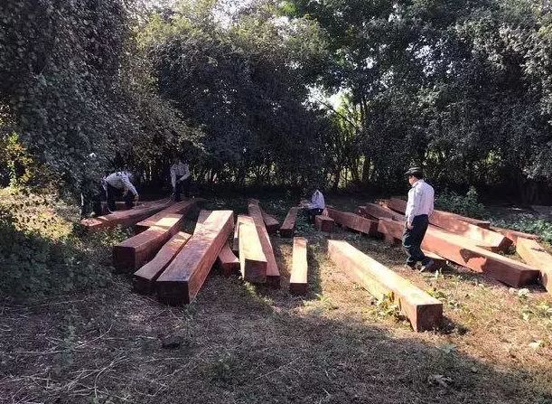 紅木家具圖片 紅木家具圖片