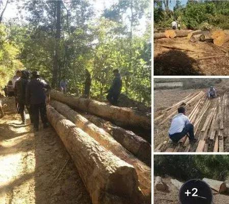 紅木家具圖片 紅木家具圖片