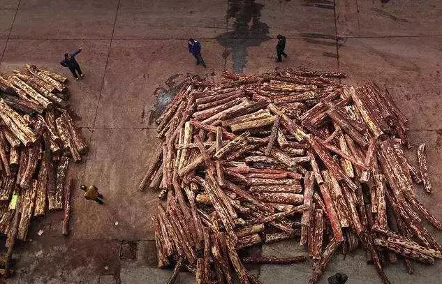 紅木家具圖片 紅木家具圖片