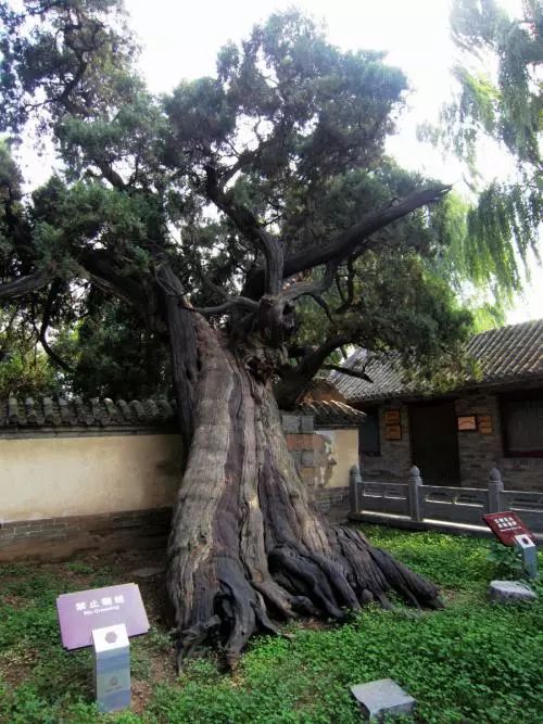 紅木家具圖片 紅木家具圖片