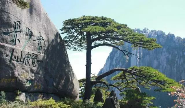 紅木家具圖片 紅木家具圖片