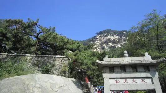 紅木家具圖片 紅木家具圖片