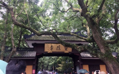 老人用了多年的切菜板竟是百年金絲楠！改造后讓人驚訝！