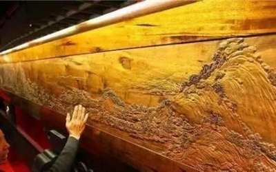 中國最古老的五棵樹，比金絲楠木還珍貴，第一壽命超過五千年