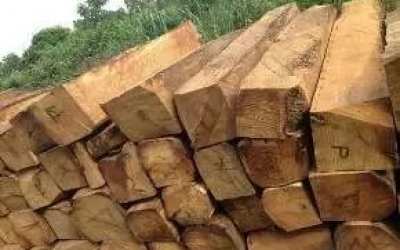 緬花家具如果太便宜，我建議你不要買！