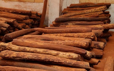 精品紅木家具！！離不開這幾點(diǎn)