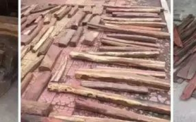 見(jiàn)到大紅酸枝，你首先想到的是價(jià)格嗎？