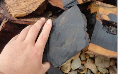 紅木家具的升值，你需要知道什么？