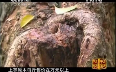 央視：男子18萬收800多斤黃花梨，現(xiàn)在1000萬都不賣！市價1.6萬一斤