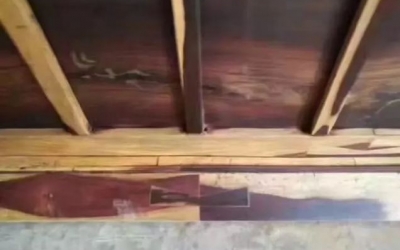 市場上越南“全拼”紅木家具再現(xiàn),你中招了嗎？