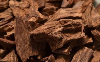 農(nóng)民挖到極品沉香，最后拍到3000千萬!